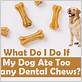 dog won't eat dental chews